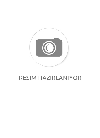 14 Ayar Gold İnçe Balık Sırtı 